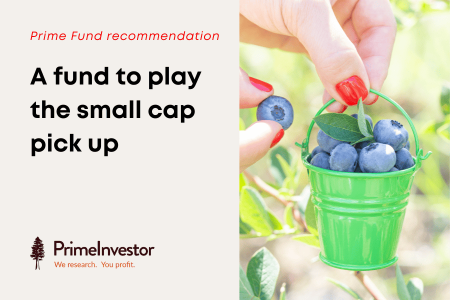 Prime Fund recommendation - A fund to play the small cap pick up